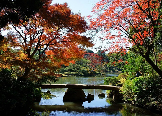 Vườn Rikugien - Niềm Tự Hào Của Thủ Đô Tokyo