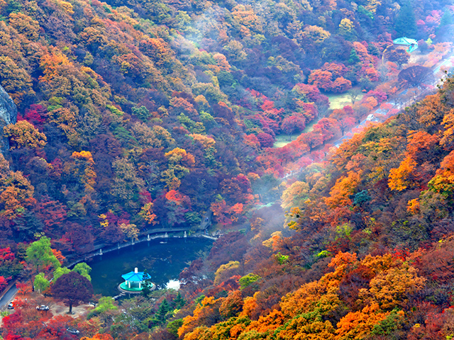 Du lịch mùa lá đỏ Hàn Quốc, mùa lá đỏ, du lịch Hàn Quốc, mùa lá đỏ Hàn Quốc, Xứ sở kim chi, kinh nghiệm du lịch Hàn Quốc, Du Lịch Xanh