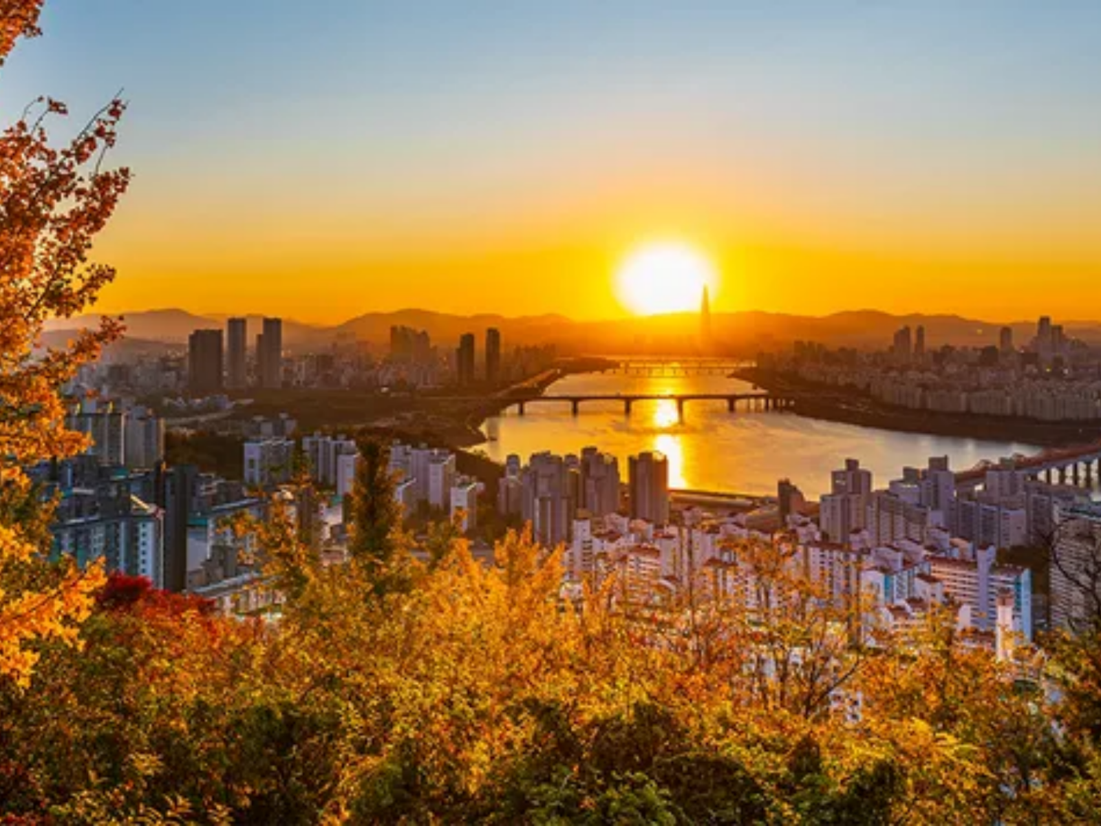 Bí Quyết Du Lịch Hàn Quốc Tháng 11 – Lãng Mạn Mùa Lá Đỏ