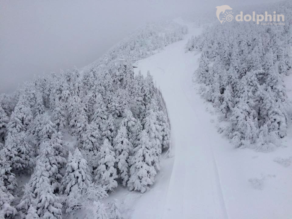 10 địa điểm trượt tuyết tốt nhất tại Nhật Bản- Mùa đông 2019