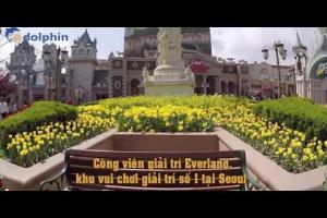 [Dolphin Tour] Chương trình Hàn Quốc mùa thu 2016