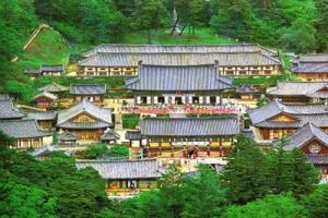 Cẩm nang du lịch Hàn Quốc : Khám phá vẻ đẹp Gyeongsangbuk