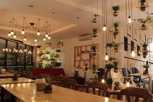 Những quán cafe có không gian xanh ở Hà Nội
