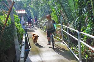 Du lịch Thái Lan : Trải nghiệm Trekking xuyên rừng Bangkok bằng xe đạp ở Bang Kra Jao