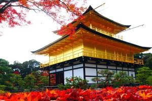 Chùa Vàng Kinkakuji – Ngôi Chùa Ấn Tượng Nhất Nhật Bản