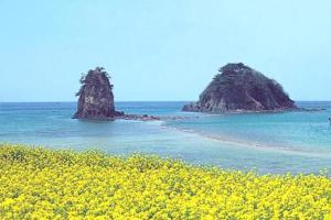 Các Địa Điểm Du Lịch Nổi Tiếng Nhất Đảo Jeju Hàn Quốc