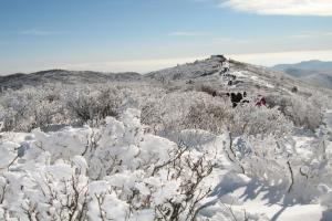 Khám Phá Núi Tuyết Taebaek – Điểm Du Lịch Tuyệt Vời Ở Hàn Quốc