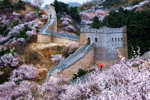 Những Địa Điểm Du Lịch Hấp Dẫn Vào Mùa Xuân Ở Trung Quốc