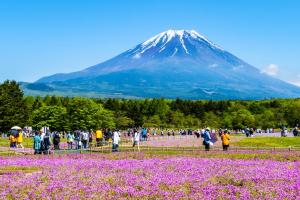 Núi Phú Sĩ Nhật Bản – Những Điều Chưa Biết