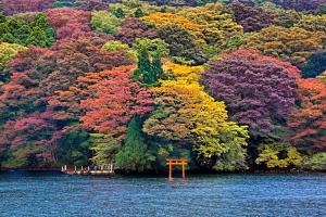 Đến Thị Trấn Hakone Ngắm Trọn Mùa Thu Nhật Bản
