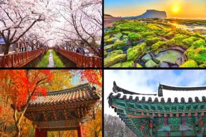 Du Lịch Hàn Quốc Mùa Đẹp Nhất - Gợi Ý Thời Điểm Lý Tưởng