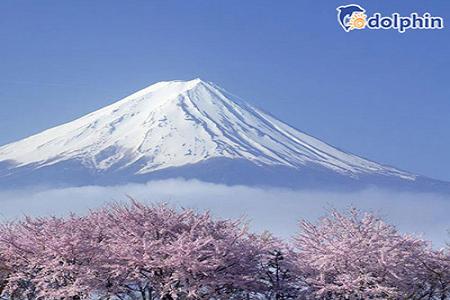 OSAKA – NAGOYA – KYOTO- KAWAGUCHI – NÚI PHÚ SĨ - TOKYO