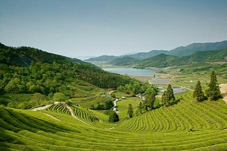 Cẩm nang du lịch Hàn Quốc : Khám phá Jeollanam - địa danh thanh bình nhất xứ Hàn