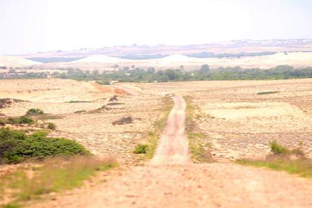 Mũi Yến đang trở thành điểm yêu thích của dân khám phá