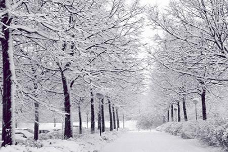 Những địa điểm du lịch Hàn Quốc hấp dẫn vào mùa đông