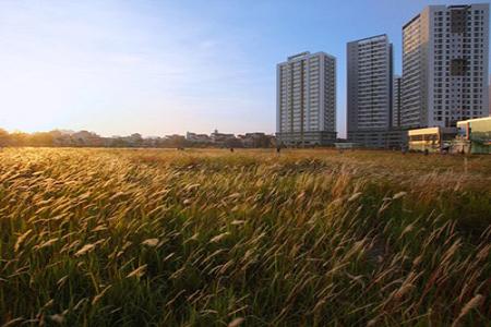 Dự án đất bỏ hoang thành điểm chụp ảnh hút khách ở Hà Nội