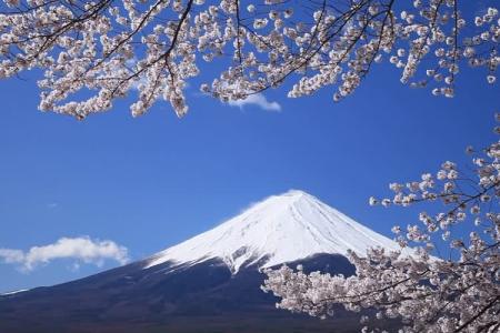 Top 5 Địa Điểm Hấp Dẫn Nhất Nhật Bản