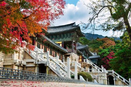 Ba Ngôi Chùa Cổ Kính Linh Thiêng Nhất Xứ Hàn