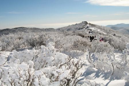 Khám Phá Núi Tuyết Taebaek – Điểm Du Lịch Tuyệt Vời Ở Hàn Quốc