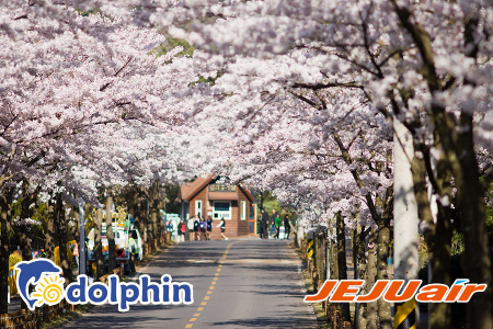 Du lịch Hàn Quốc hè 2018 : Seoul - Nami - Everland - Du thuyền Sông Hàn bay Jeju Air từ TP. Hồ Chí Minh