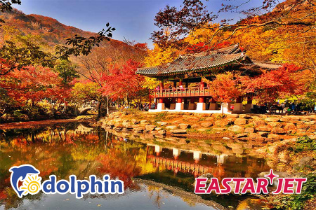 Du lịch Hàn Quốc 2018: Seoul - Nami - Everland - Yeoido bay Eastar Jet