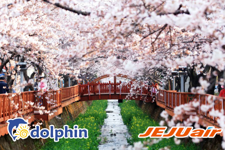 Du lịch Hàn Quốc 2018 lễ 30/4: Seoul - Nami - Everland - Công viên Yeoido bay Jeju Air