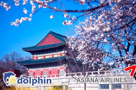 Du lịch Hàn Quốc 2018 - lễ hội hoa Mùa xuân 6N5Đ: SEOUL – JEJU - EVERLAND - NAMI khởi hành từ HCM