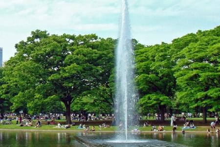 Khám Phá Công Viên Yoyogi – Điểm Đến Hấp Dẫn Ở Nhật Bản