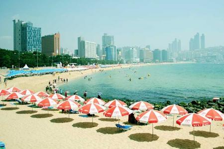 Bãi Biển Haeundae - Thiên đường xanh giữa Busan