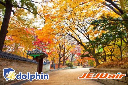 Seoul - Nami - Everland 5N4Đ bay Jeju Air