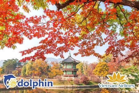 Suwon - Seoul - Everland - Nami - Du thuyền sông Hàn 5N4Đ bay Vietnam Airlines