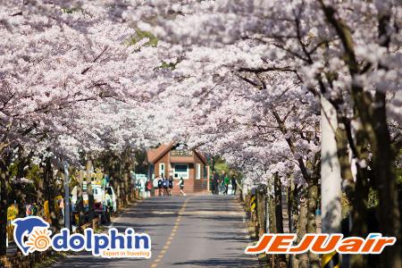 Du lịch Hàn Quốc hè 2018 : Seoul - Nami - Everland - Du thuyền Sông Hàn bay Jeju Air từ TP. Hồ Chí Minh