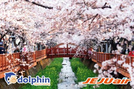 Du lịch Hàn Quốc 2018 lễ 30/4: Seoul - Nami - Everland - Công viên Yeoido bay Jeju Air