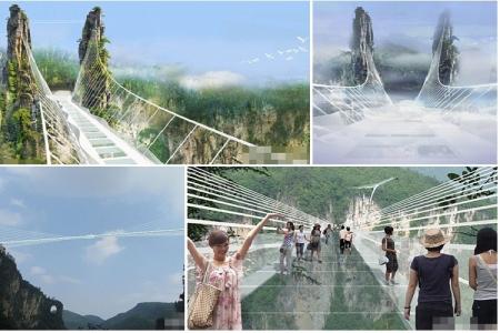 Dạo Bước Trên Mây Trên Cây Cầu Skywalk Ở Trương Gia Giới Trung Quốc