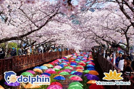 Charter Hàn Quốc 6N5Đ: SEOUL – NAMI - EVERLAND - DU THUYỀN SÔNG HÀN khởi hành từ Hà Nội