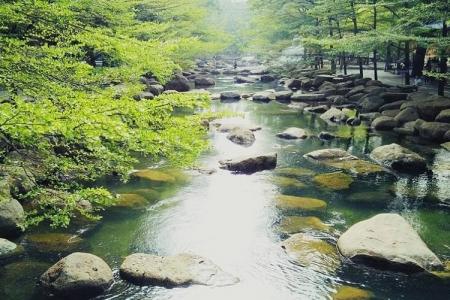 Địa Điểm Du Lịch Mới Nổi Gần Sài Gòn Thích Hợp Dịp Nghỉ Lễ 2-9