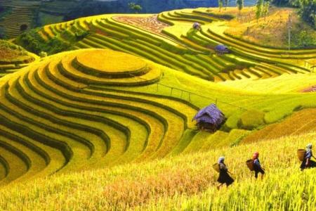 Cẩm Nang Du Lịch Sapa - Những Địa Điểm Du Lịch Đẹp