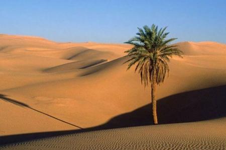 Khám Phá Vẻ Đẹp Của Những Đồi Cát Bình Thuận