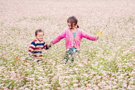 Cẩm Nang Khám Phá Địa Điểm Lý Tưởng Du Lịch Mùa Thu