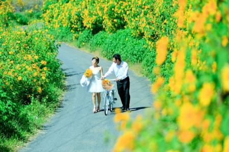 Đến Đà Lạt Ngắm Những Cung Đường Tràn Ngập Hoa Dã Quỳ