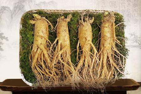 Những Kinh Nghiệm Mua Nhân Sâm Khi Đi Du Lịch Hàn Quốc