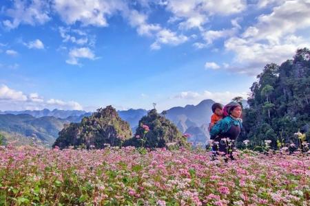 Những Địa Điểm Du Lịch Hấp Dẫn Dịp Tết