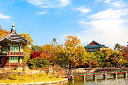 DU LỊCH HÀN QUỐC - Hãy nhớ những vật dụng bị cấm mang vào xứ Kim Chi