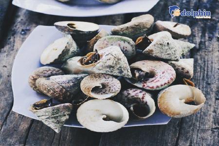 ĐI CÔN ĐẢO - ĂN GÌ ĐÂY???