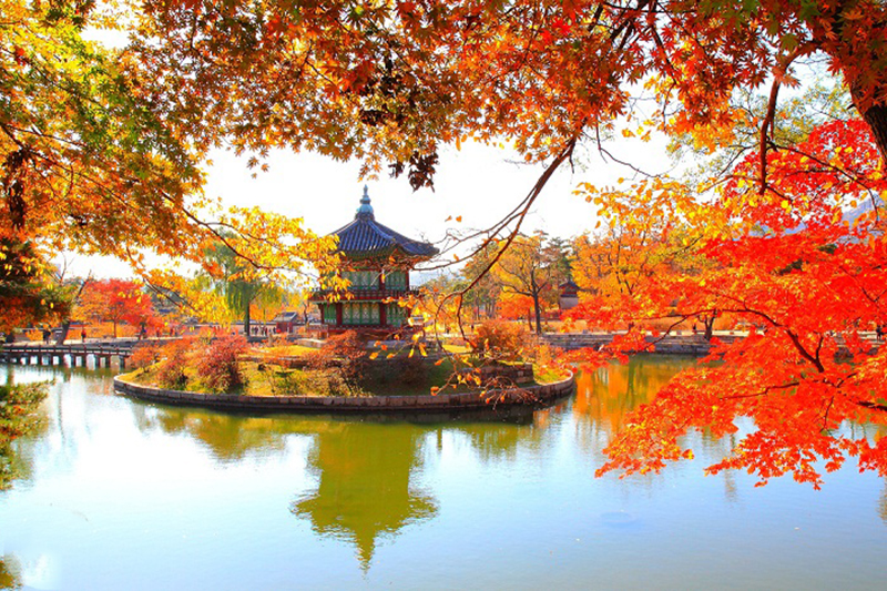 Cung điện Gyeongbokgung mùa thu