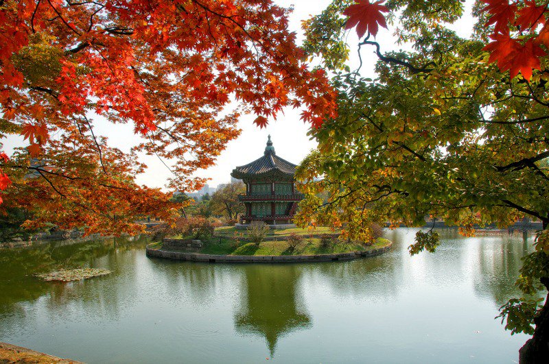 Cung điện Gyeongbokgung mùa thu