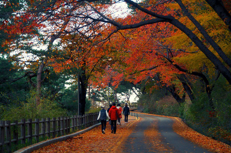 Hình ảnh Núi Namsan vào mùa thu