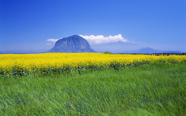 Hình ảnh núi núi Halla ở Jeju Hàn Quốc