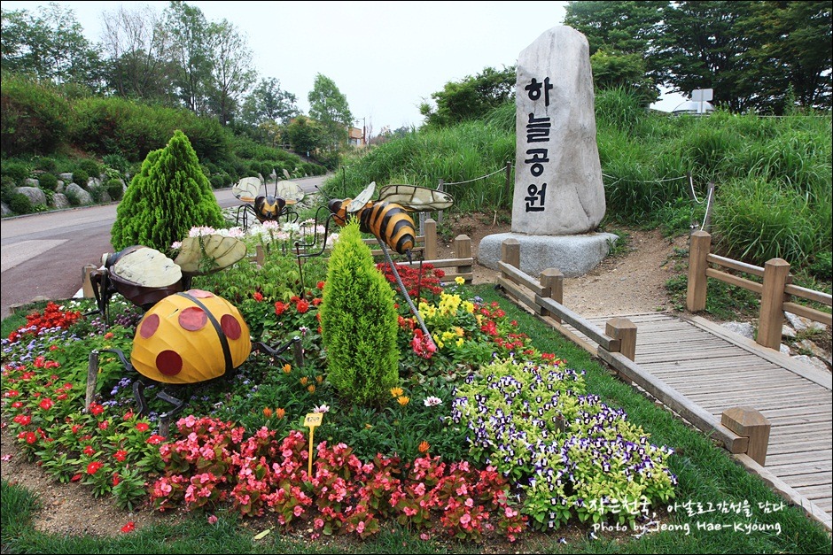 Cổng chính của Công viên Bầu Trời thể hiện đặc trưng của công viên sinh thái, với các loại động thực vật đa dạng.