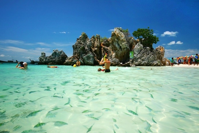 Biển Phuket nổi tiếng trong xanh có thể trông thấy đàn cá bơi lội- Ảnh: Sưu tầm